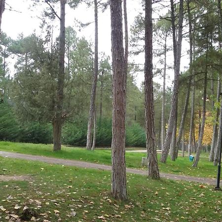 Camping Caravaning Cuenca Cuenca  Exteriér fotografie