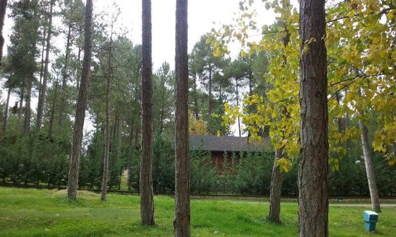 Camping Caravaning Cuenca Cuenca  Exteriér fotografie