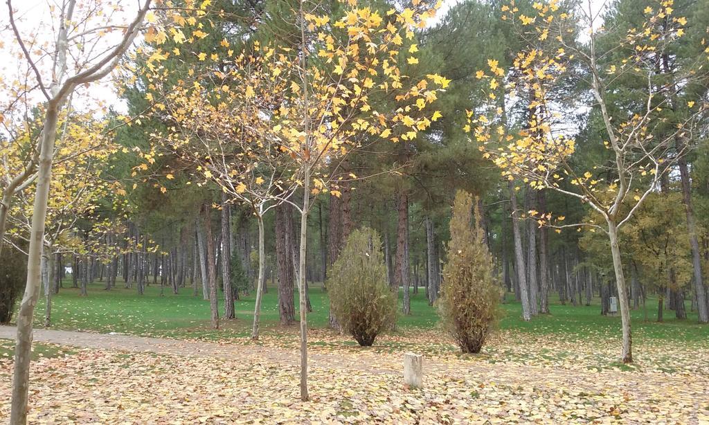Camping Caravaning Cuenca Cuenca  Exteriér fotografie